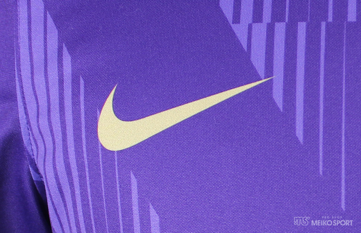 �������ʎx���w�Z