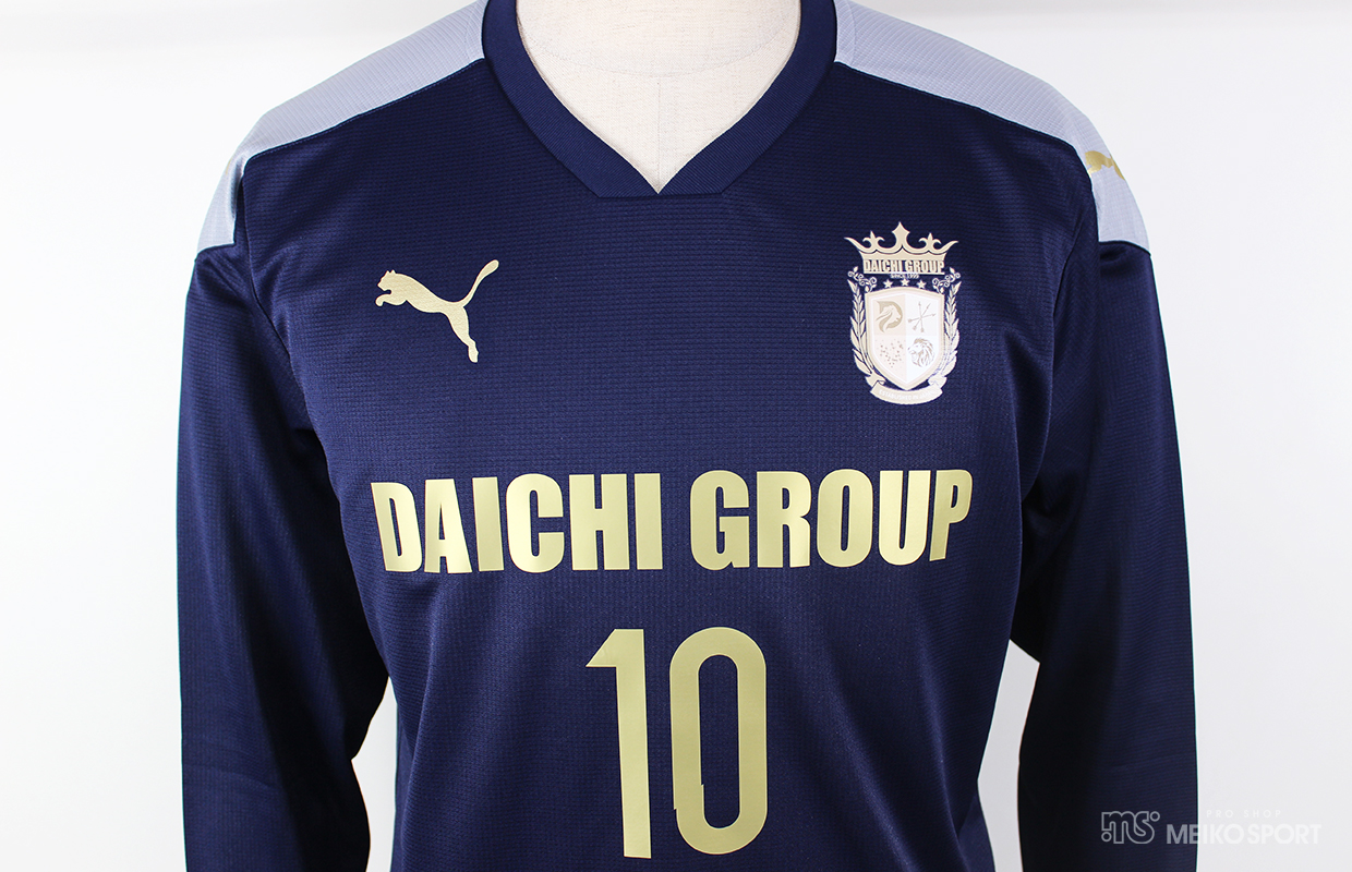DAICHI GROUP