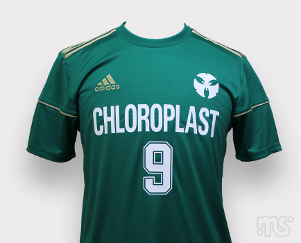 CHLOROPLAST