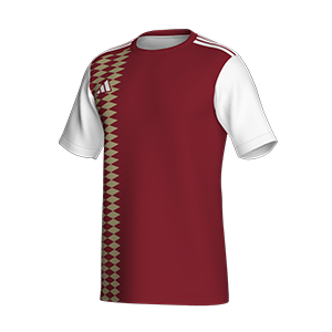ADIDAS GRAPHIC�V���c10