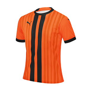 プーマサッカーゲームシャツ PUMA（プーマ） メンズ チーム ファイナル team FINAL ゲームシャツ