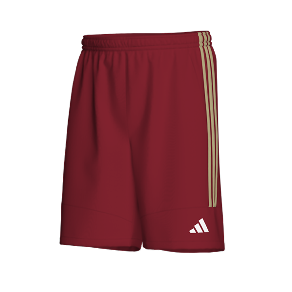 ADIDAS �E�[�u���V���[�c
