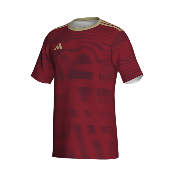 ADIDAS GRAPHIC�V���c