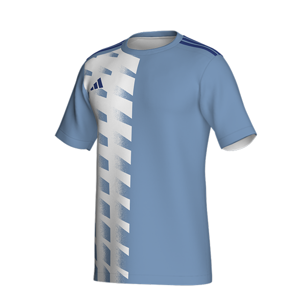 ADIDAS GRAPHIC�V���c