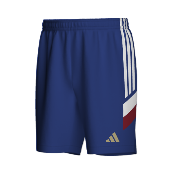 ADIDAS GRAPHIC�V���[�c01