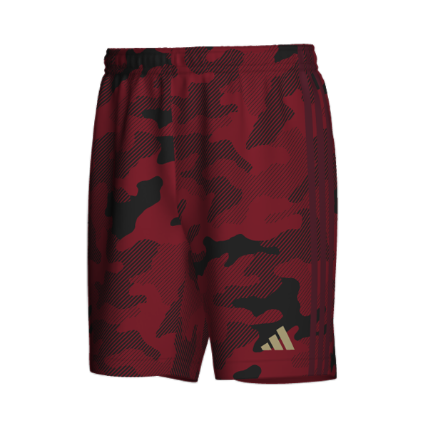 ADIDAS GRAPHIC�V���[�c02