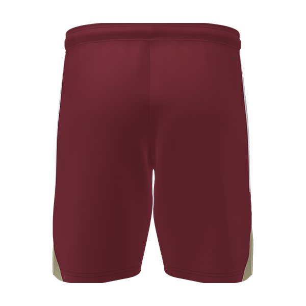 ADIDAS TIRO25C�Q�[���p���c