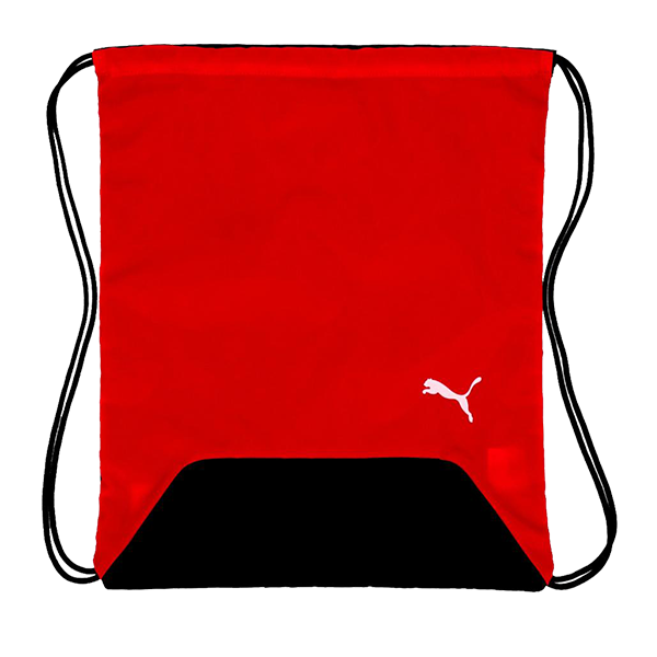 PUMA TEAMGOAL �W���T�b�N