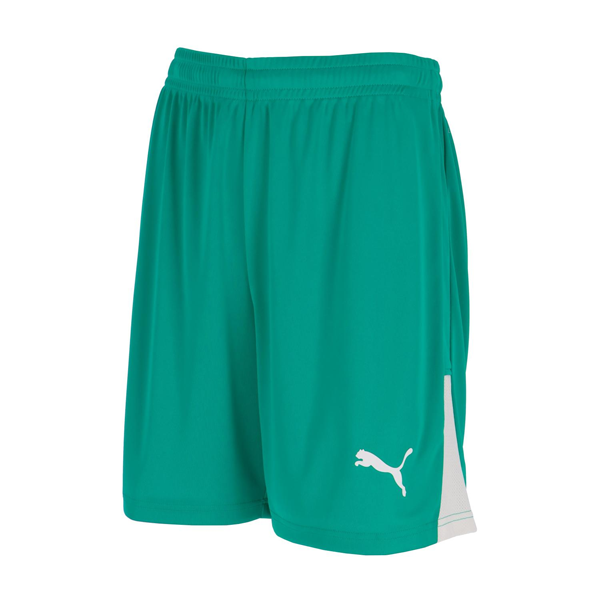 PUMA TEAM LIGA�V���[�c