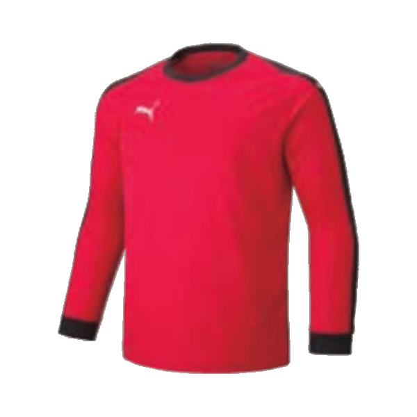 プーマ （PUMA） LIGA GKシャツ 729965  ゴールキーパー  サッカーユニフォームのメイコースポーツ