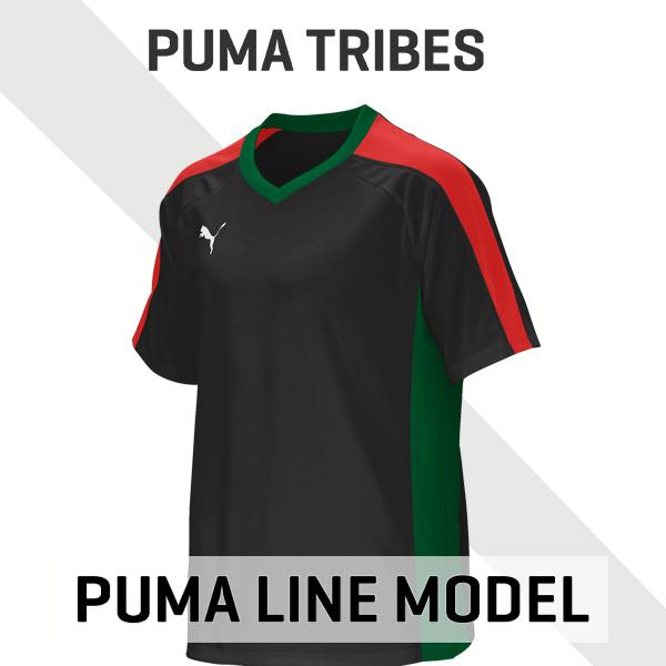 PUMA Line Model-B PR308T